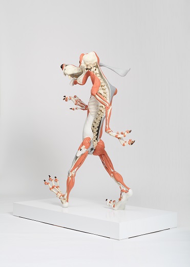 이형구_Canis D Animatus(muscle attachment)_12x140x70cm,139x96x44.5cm(pedestal)_resin,glass,oil paint_2015